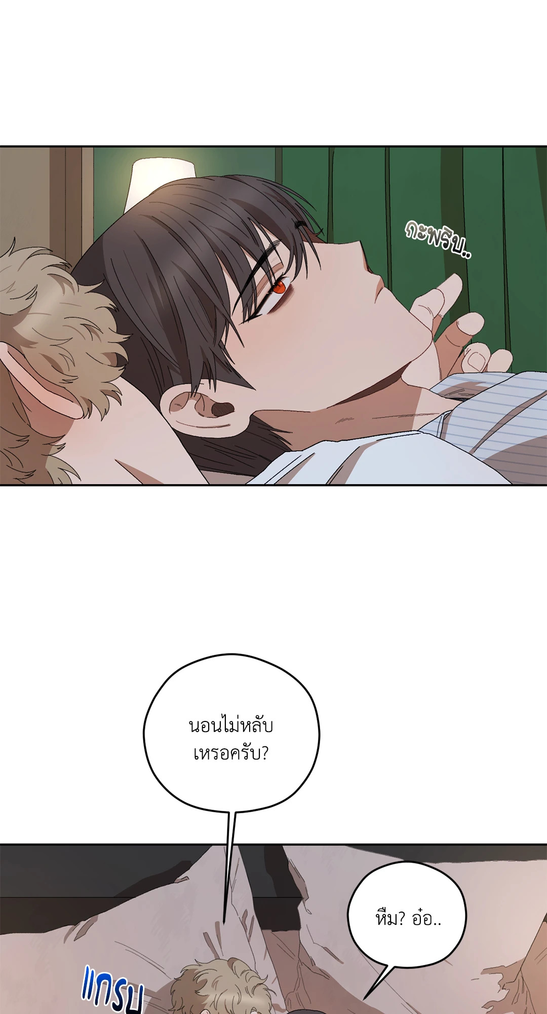 หน้า 43