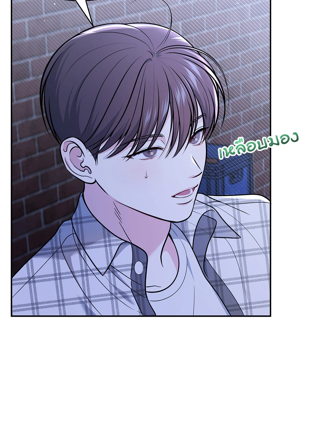 หน้า 30