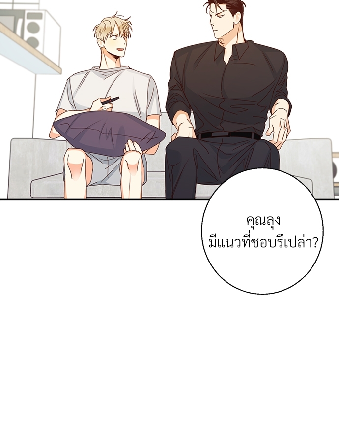 หน้า 43