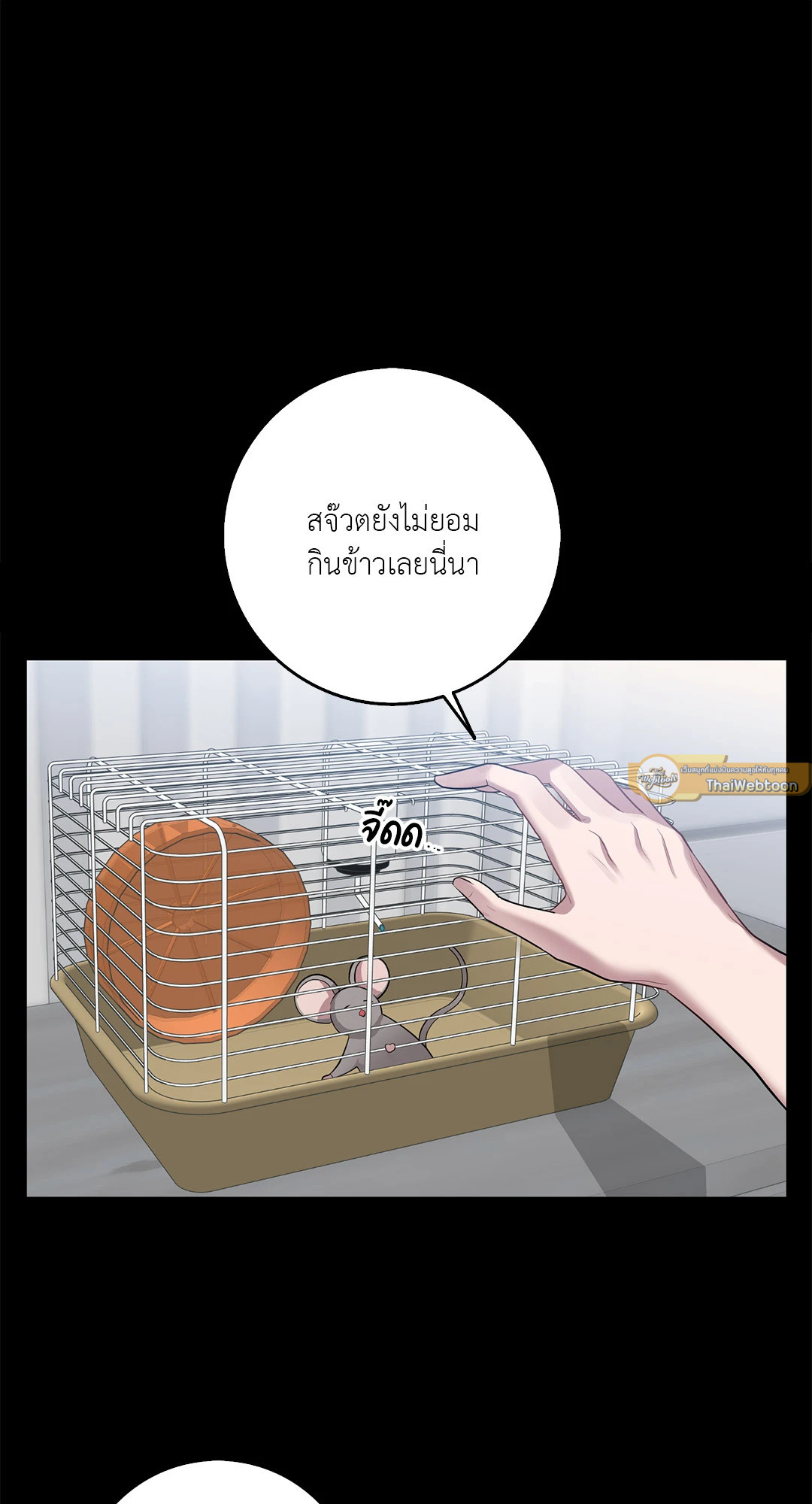 หน้า 48