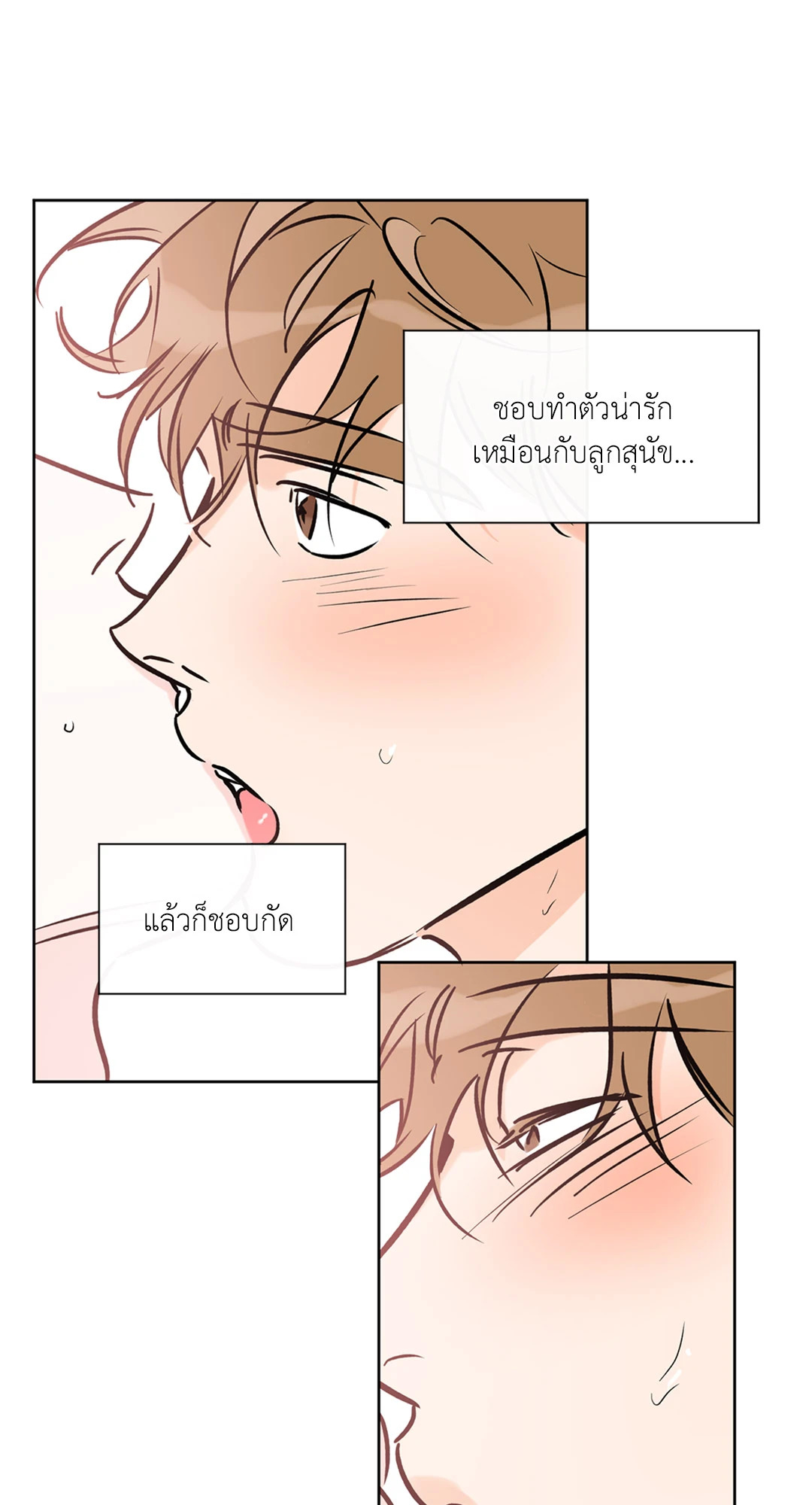 หน้า 38