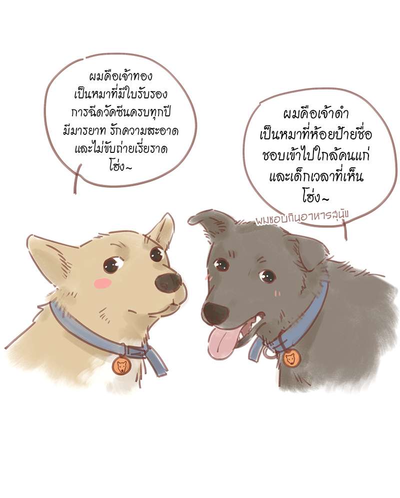 หน้า 37