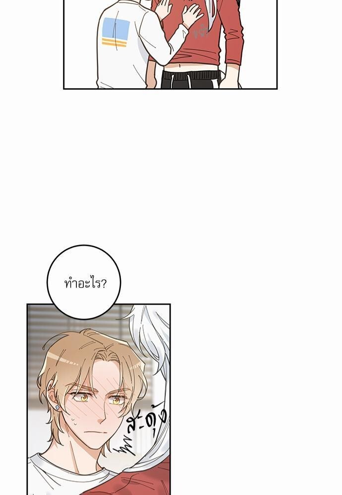 หน้า 41