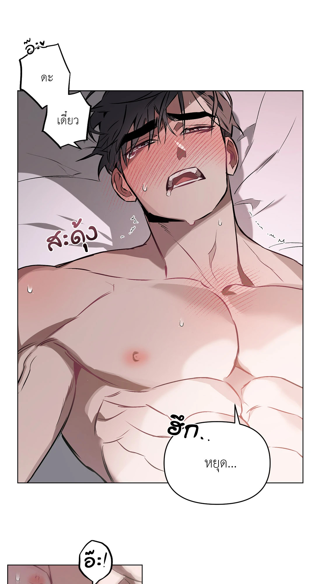 หน้า 41