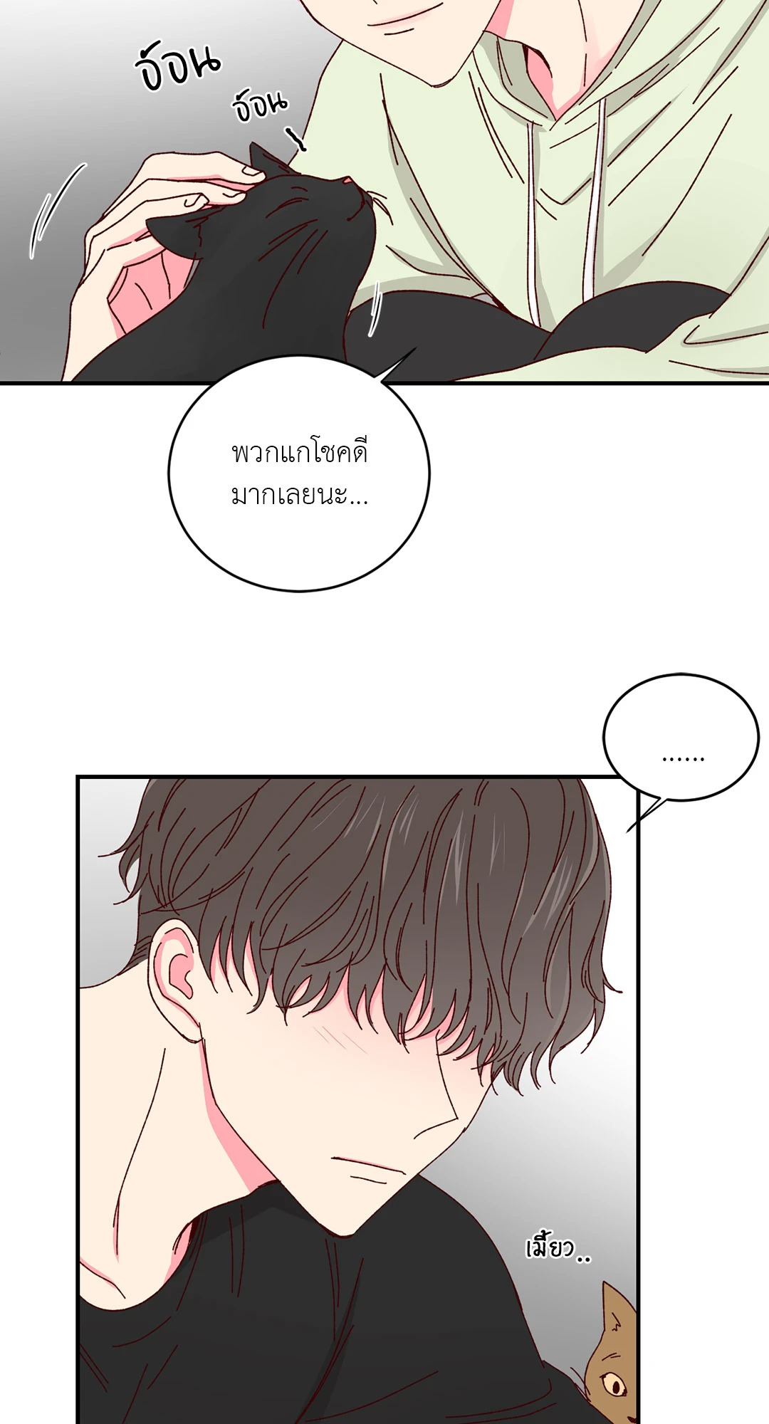 หน้า 21