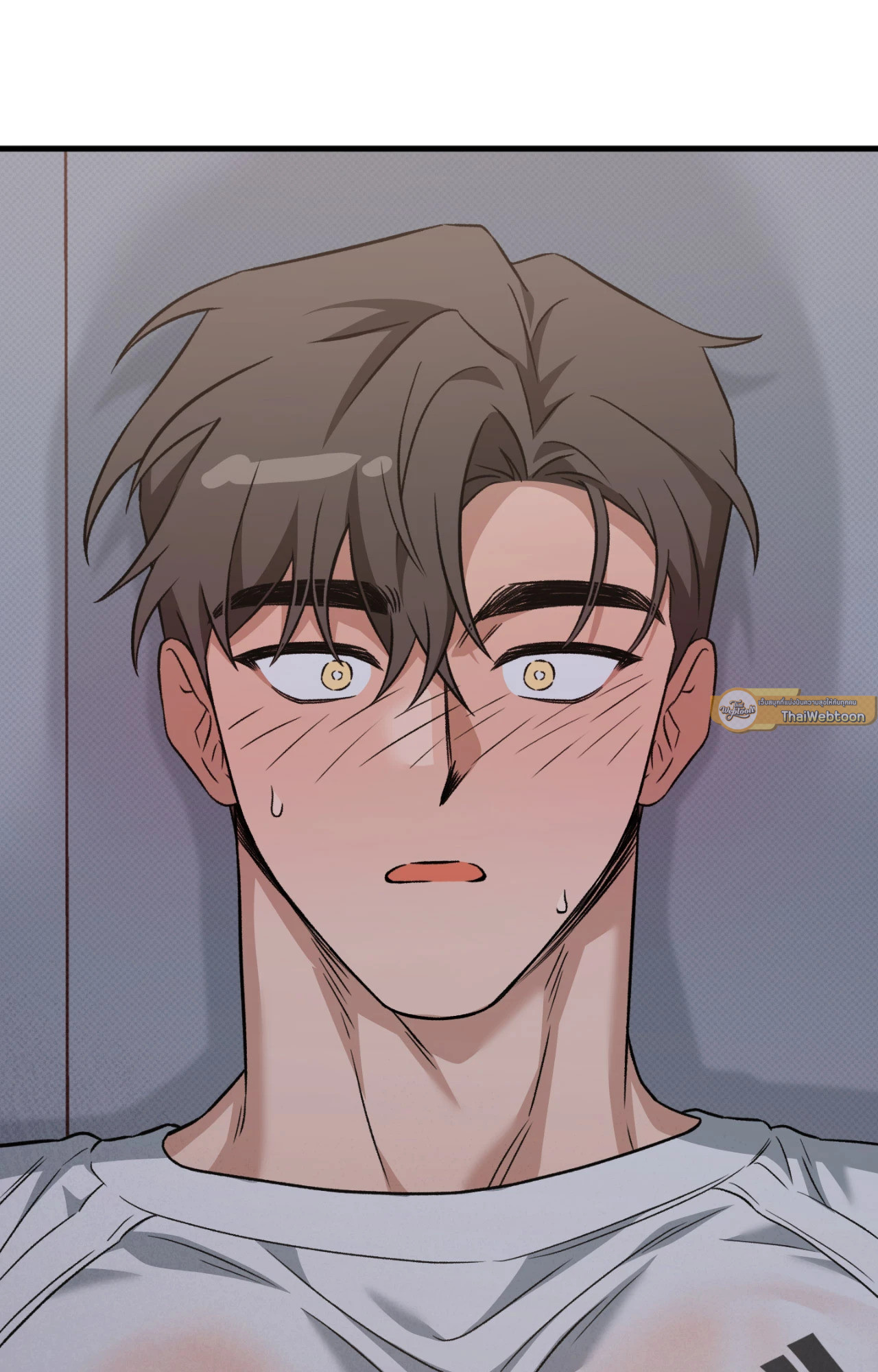 หน้า 102