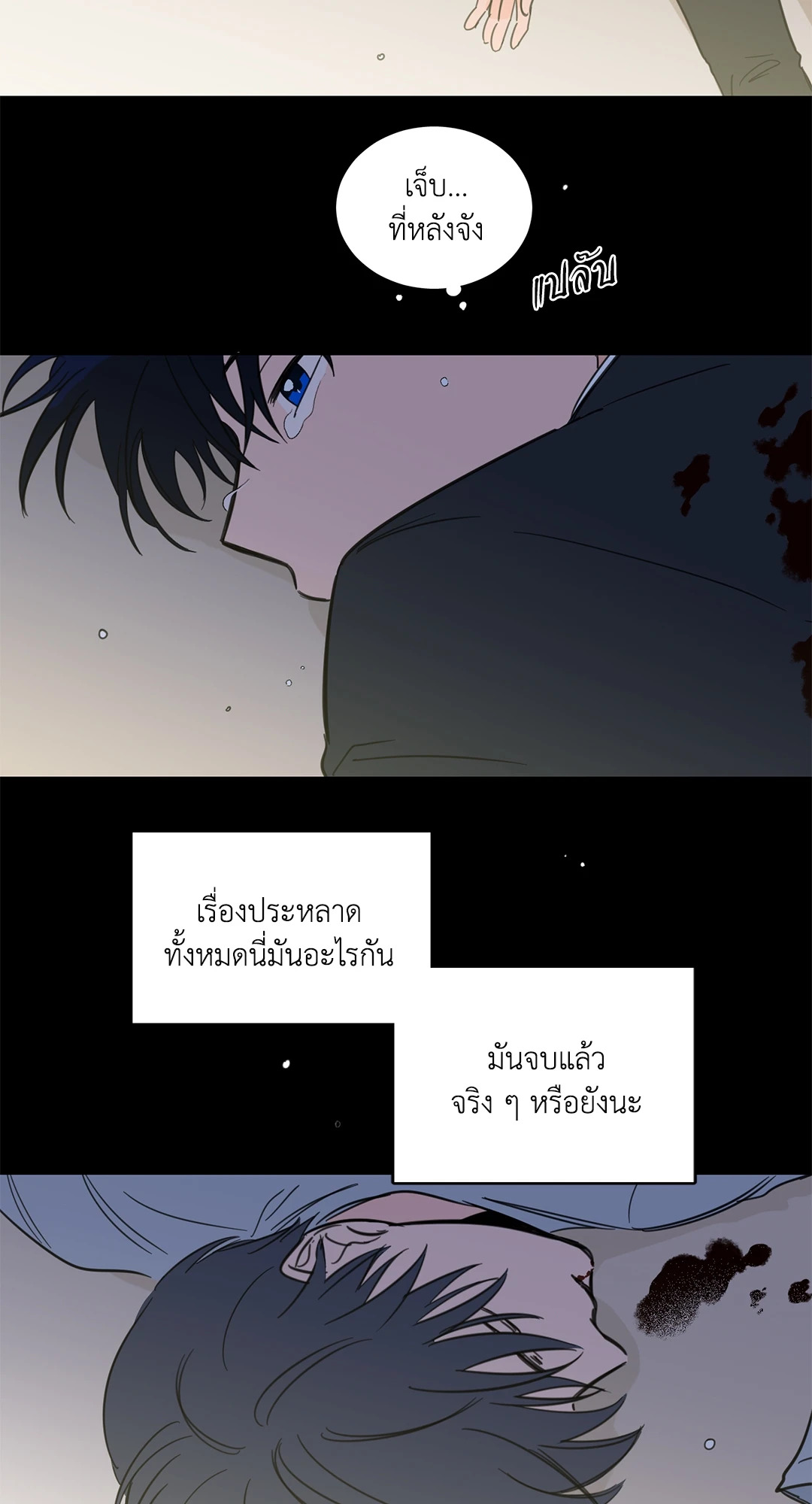 หน้า 29