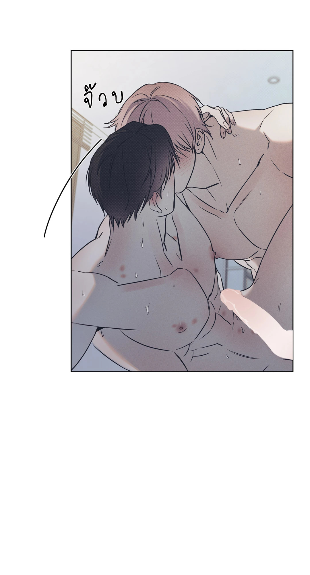 หน้า 31