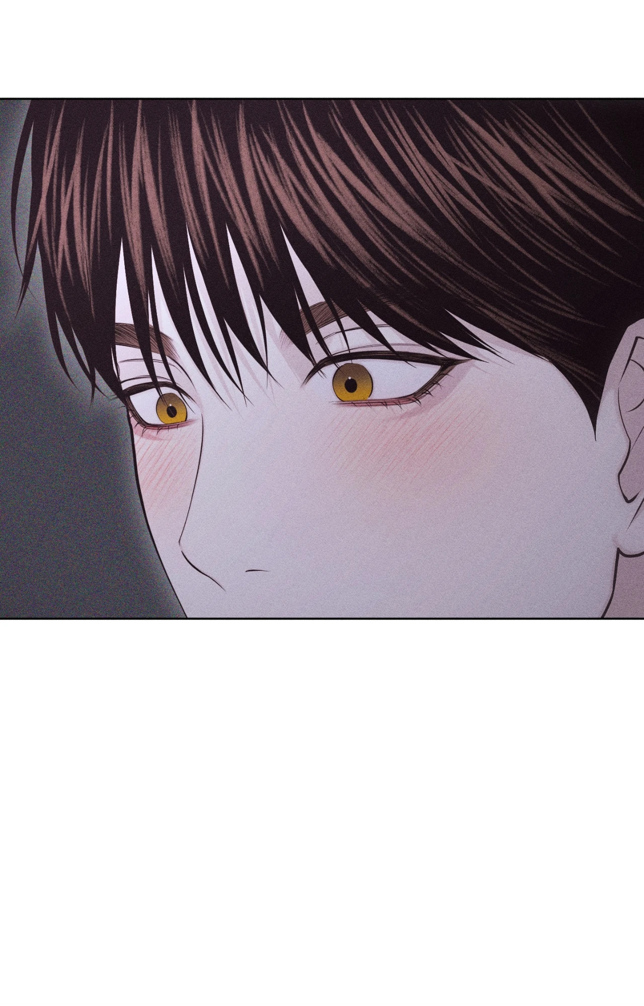 หน้า 102