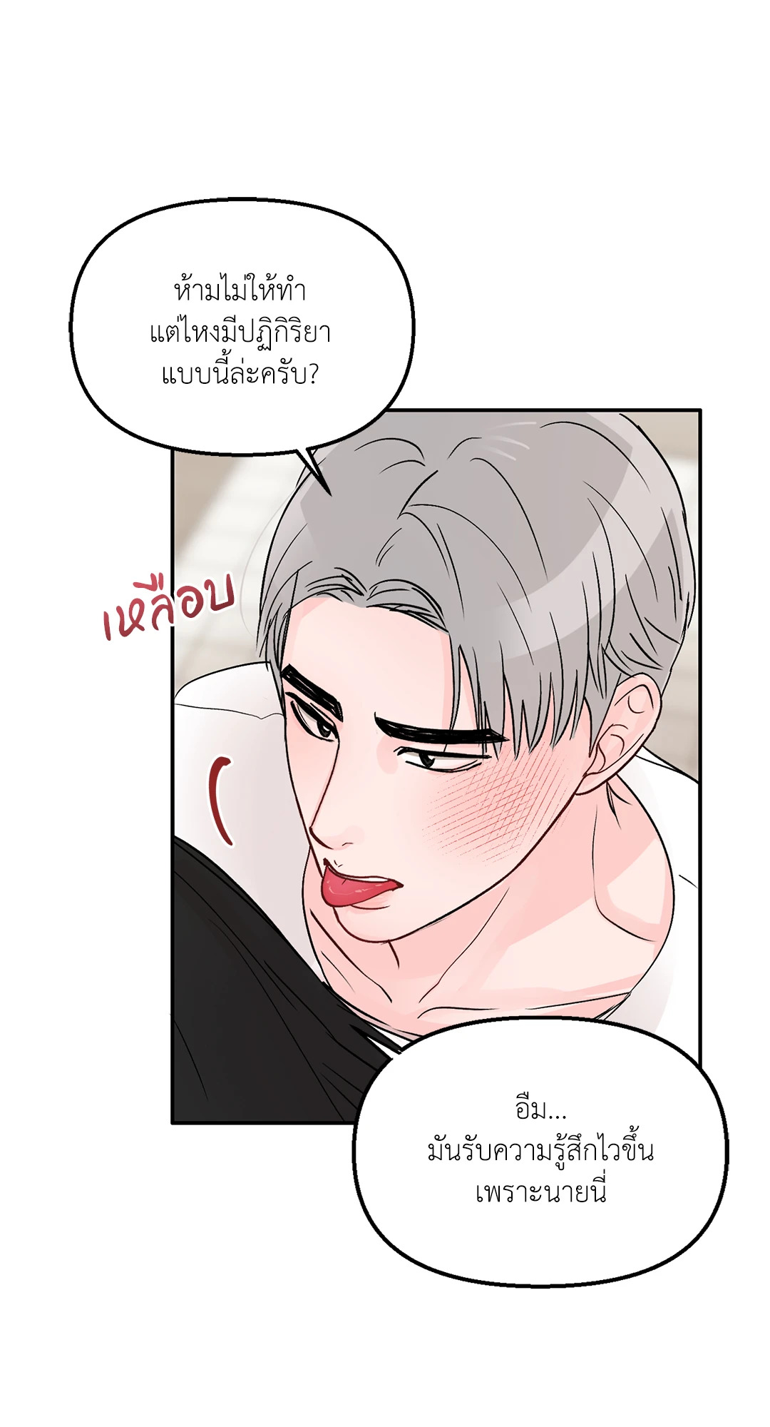 หน้า 43