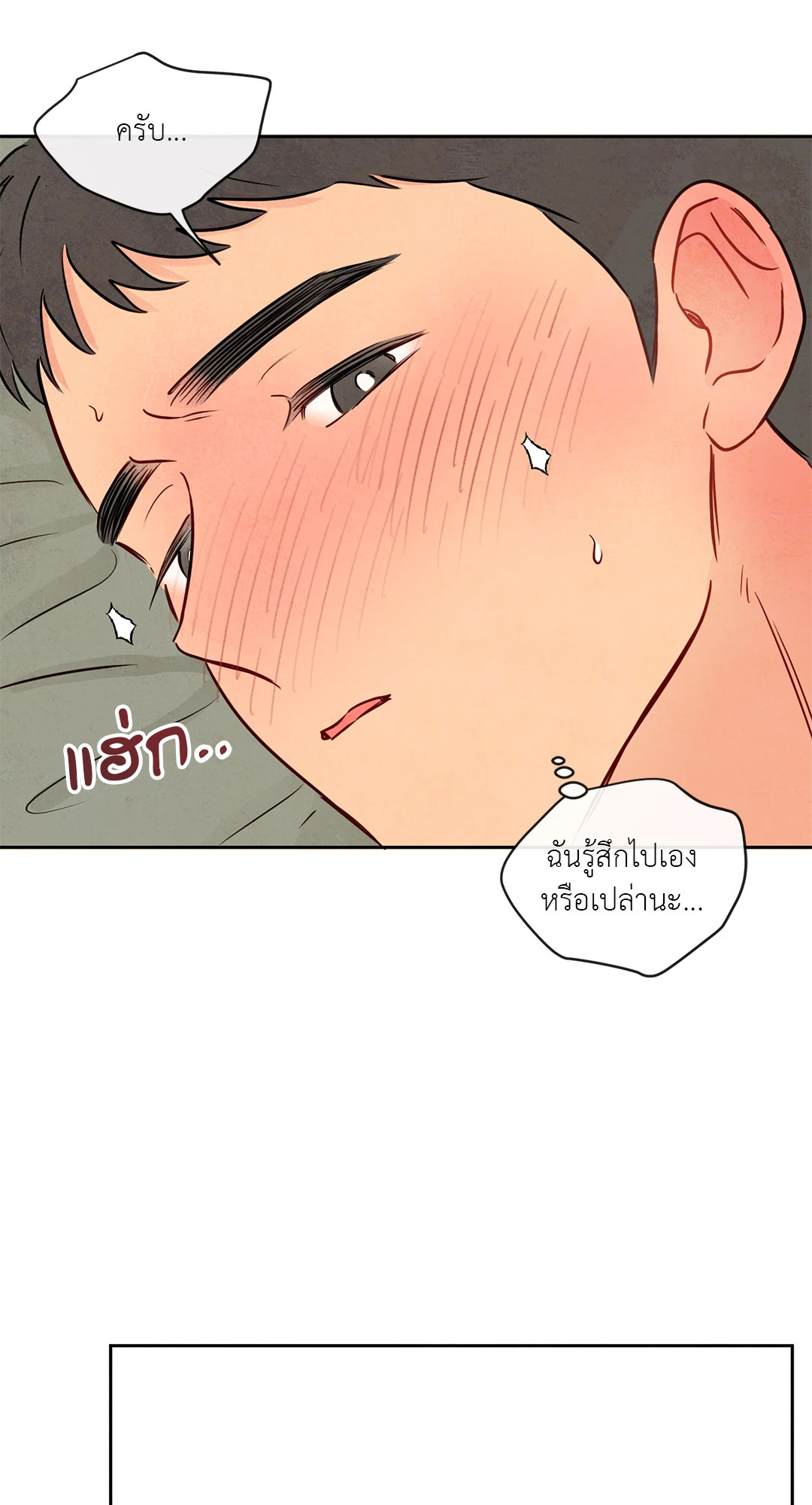 หน้า 52