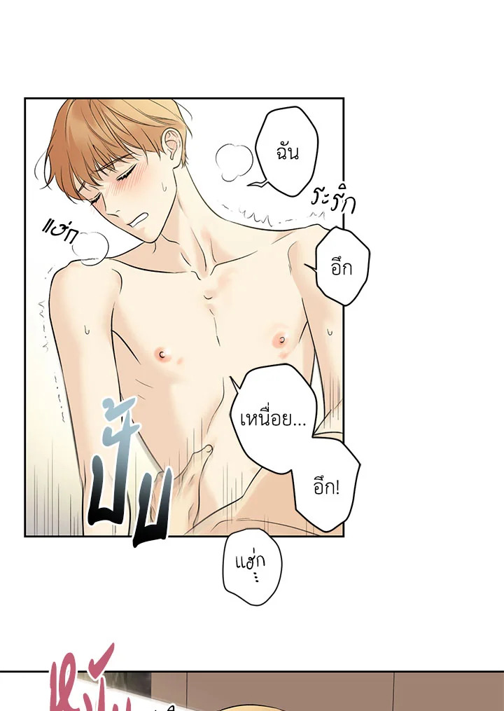 หน้า 66