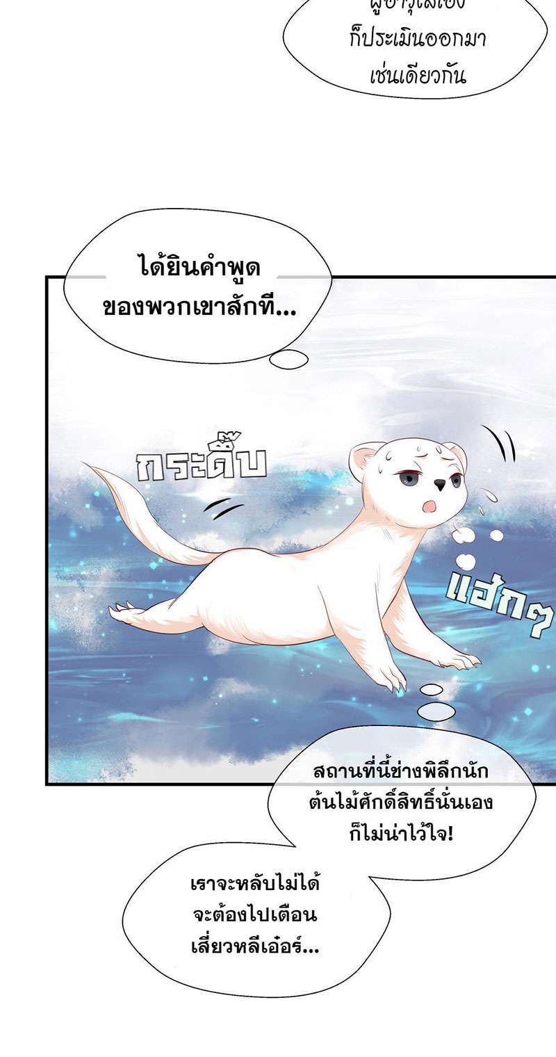 หน้า 51