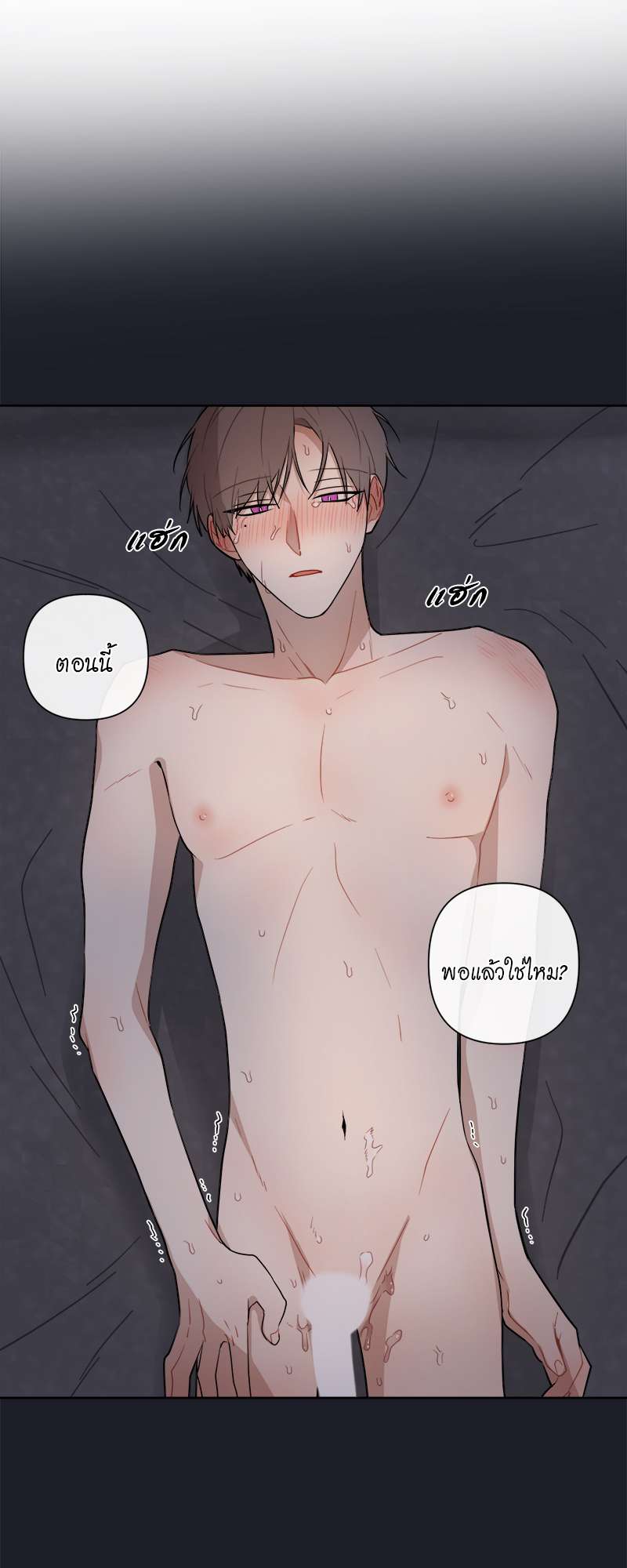 หน้า 29