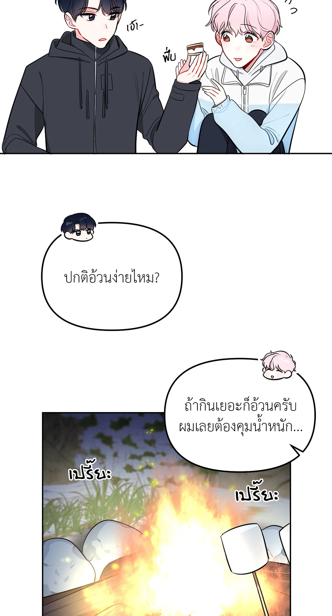 หน้า 41