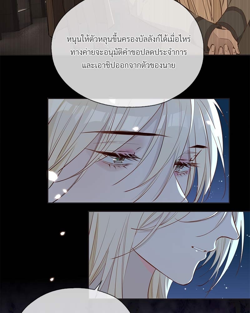 หน้า 41