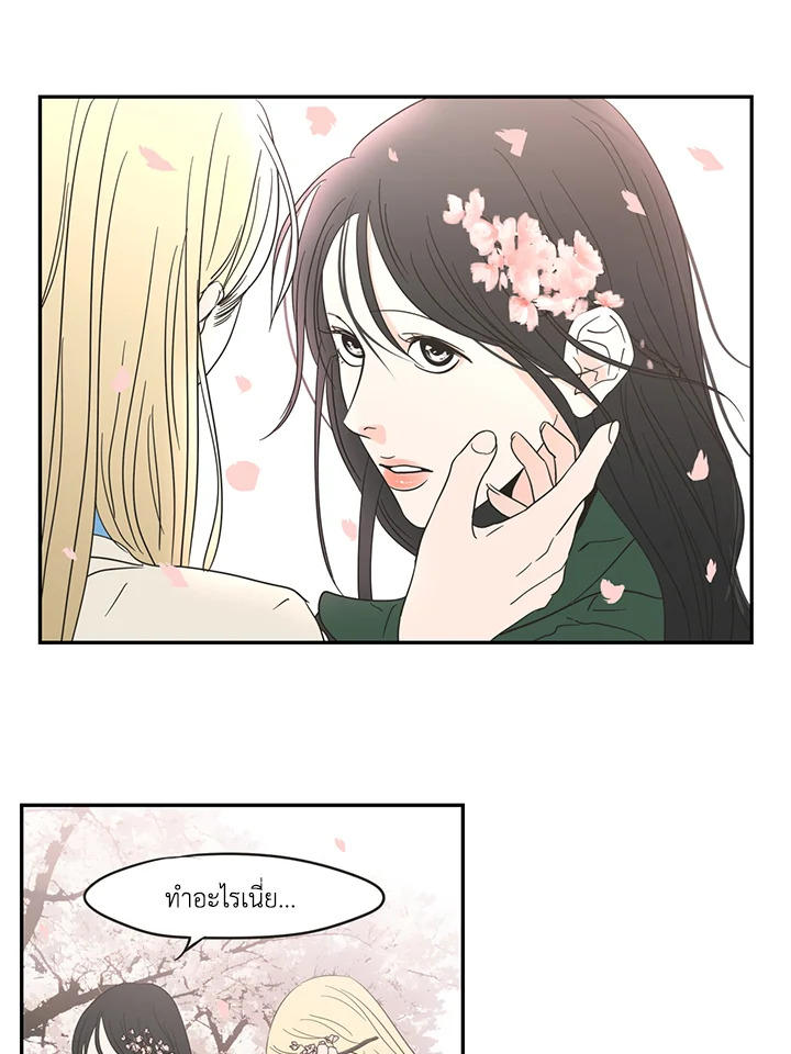 หน้า 41