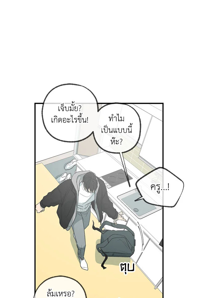 หน้า 55