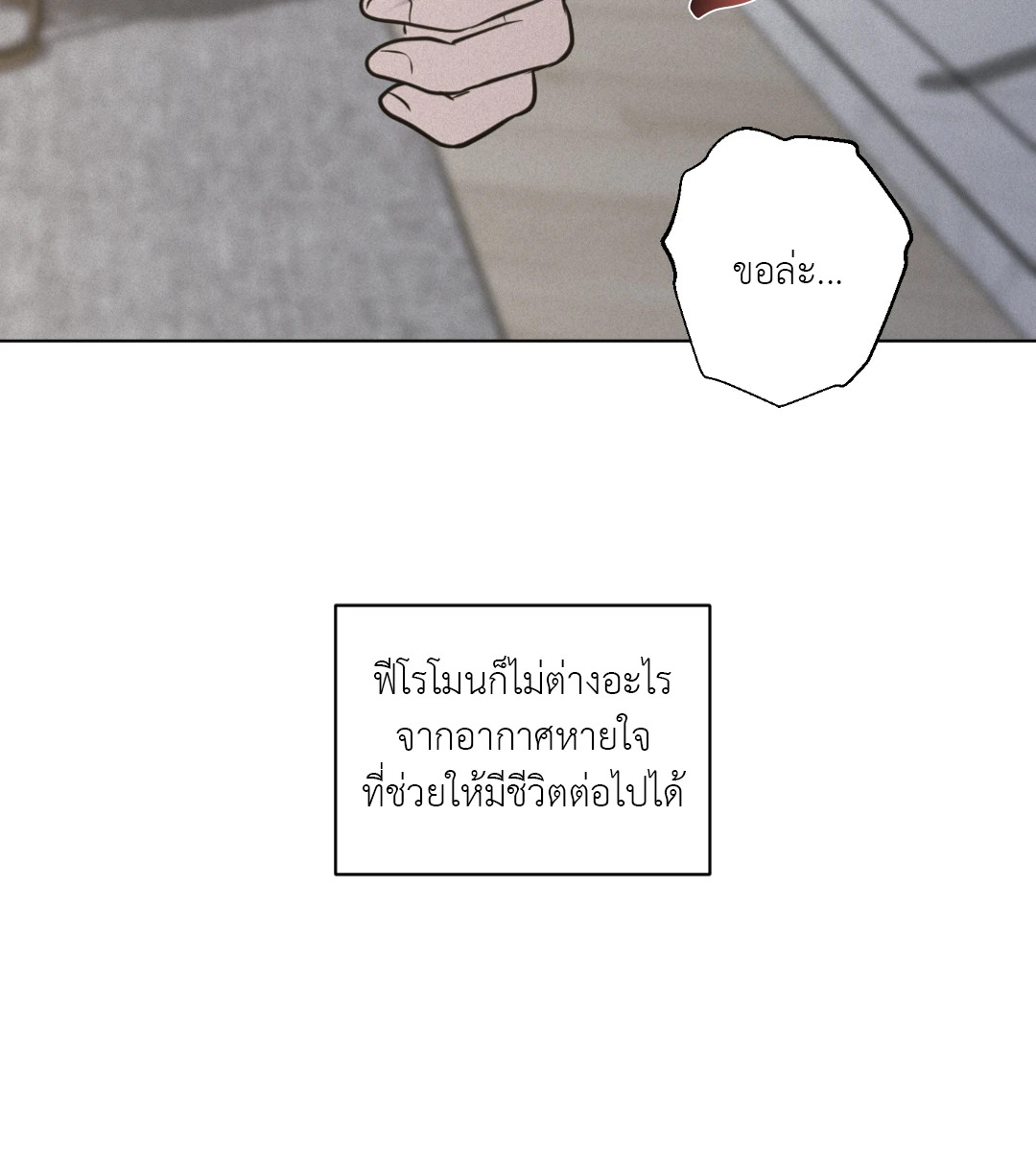 หน้า 97