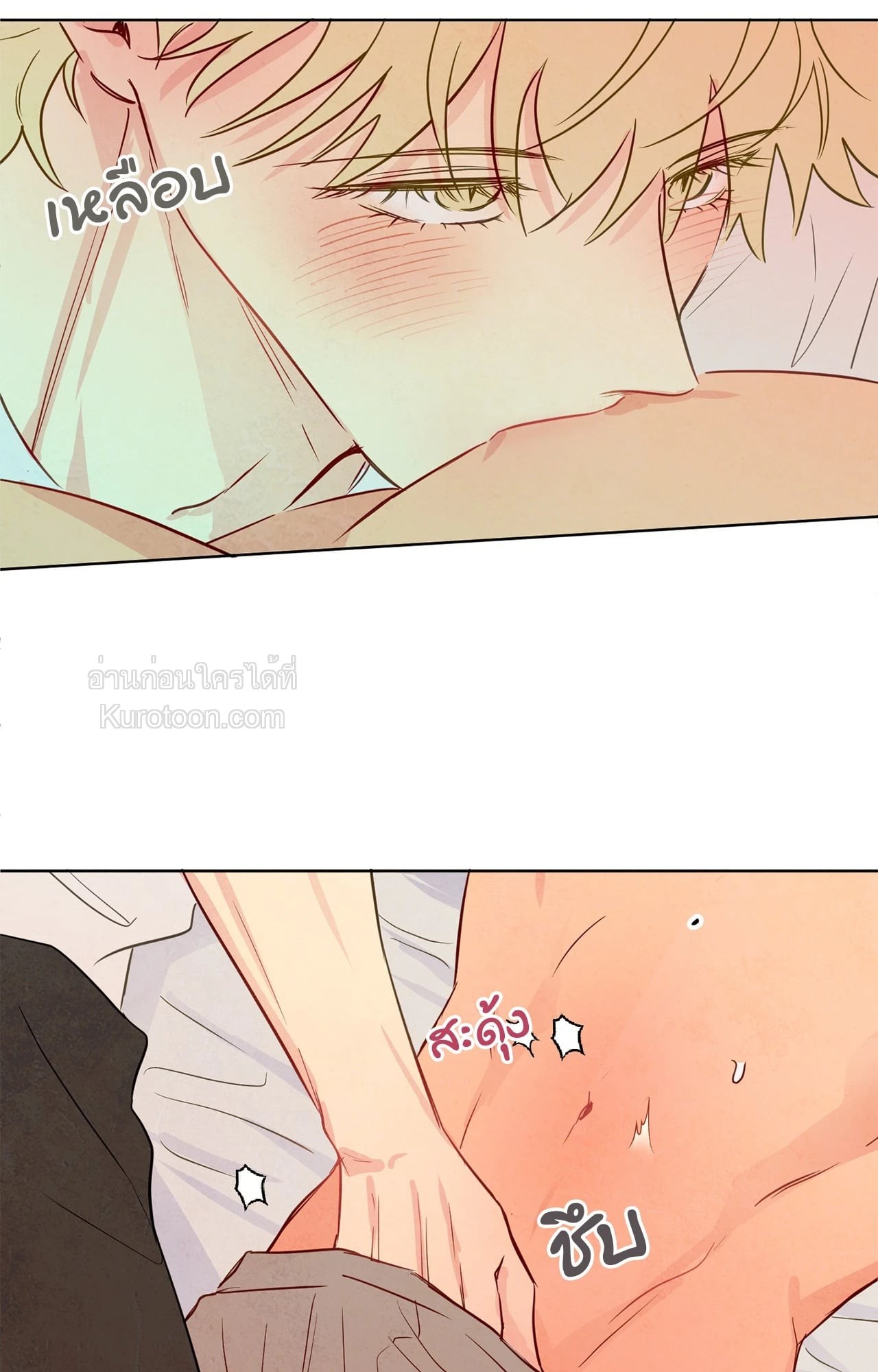 หน้า 41