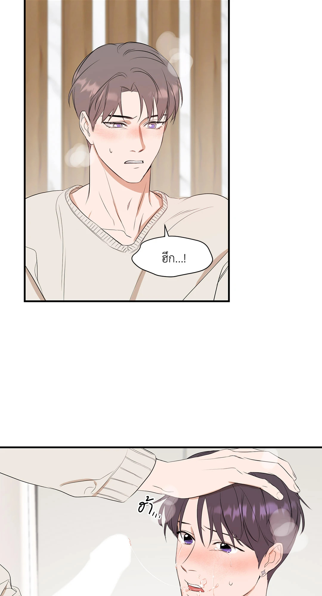 หน้า 29