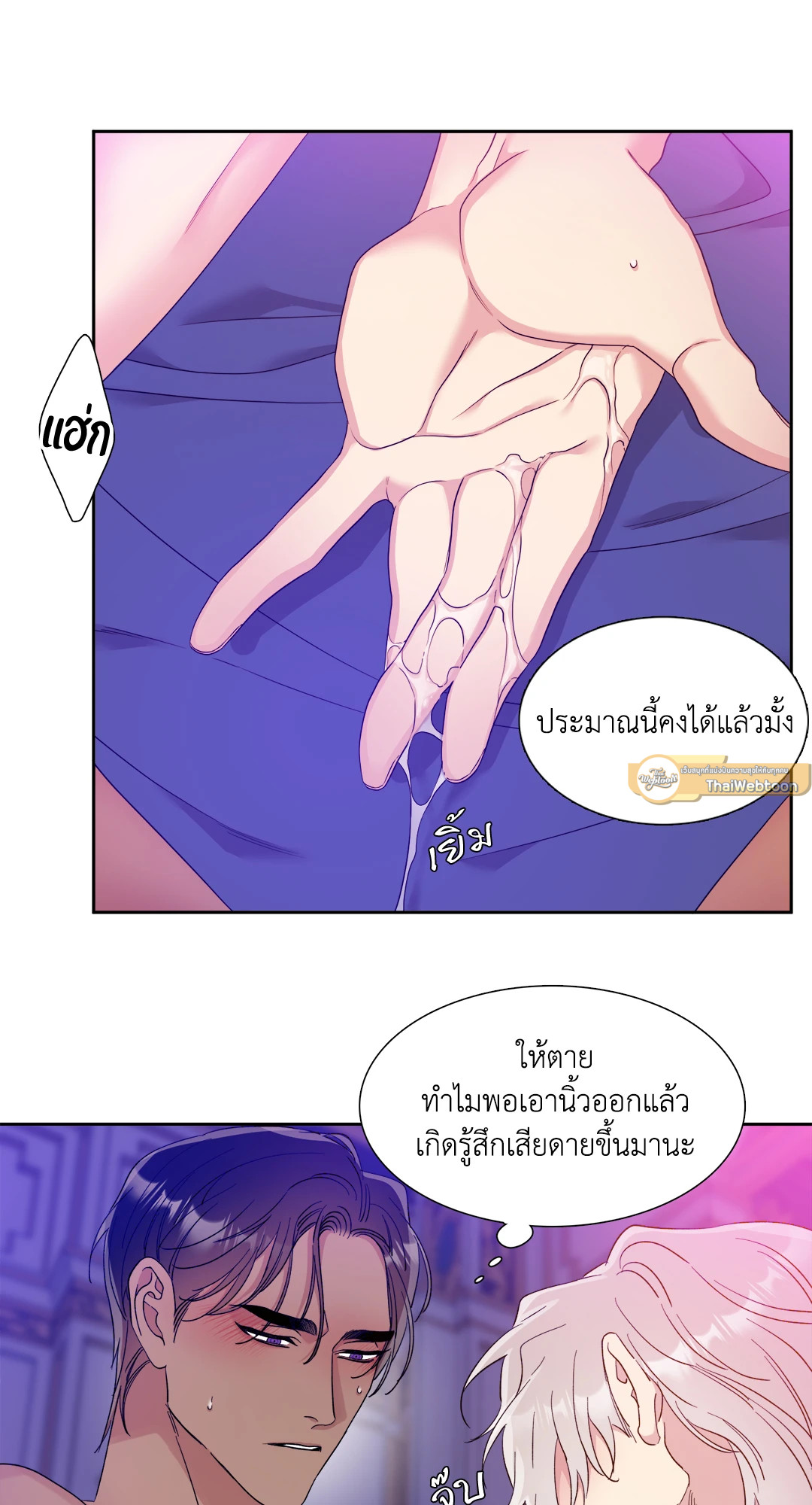 หน้า 41