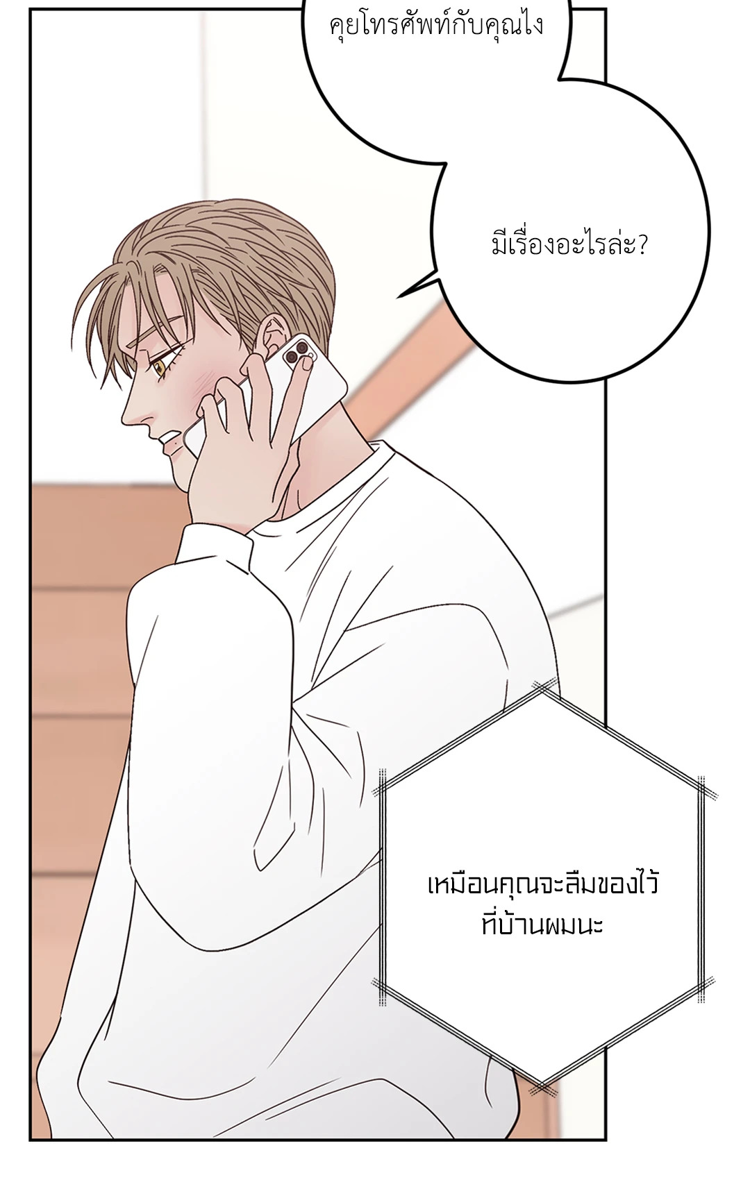 หน้า 100