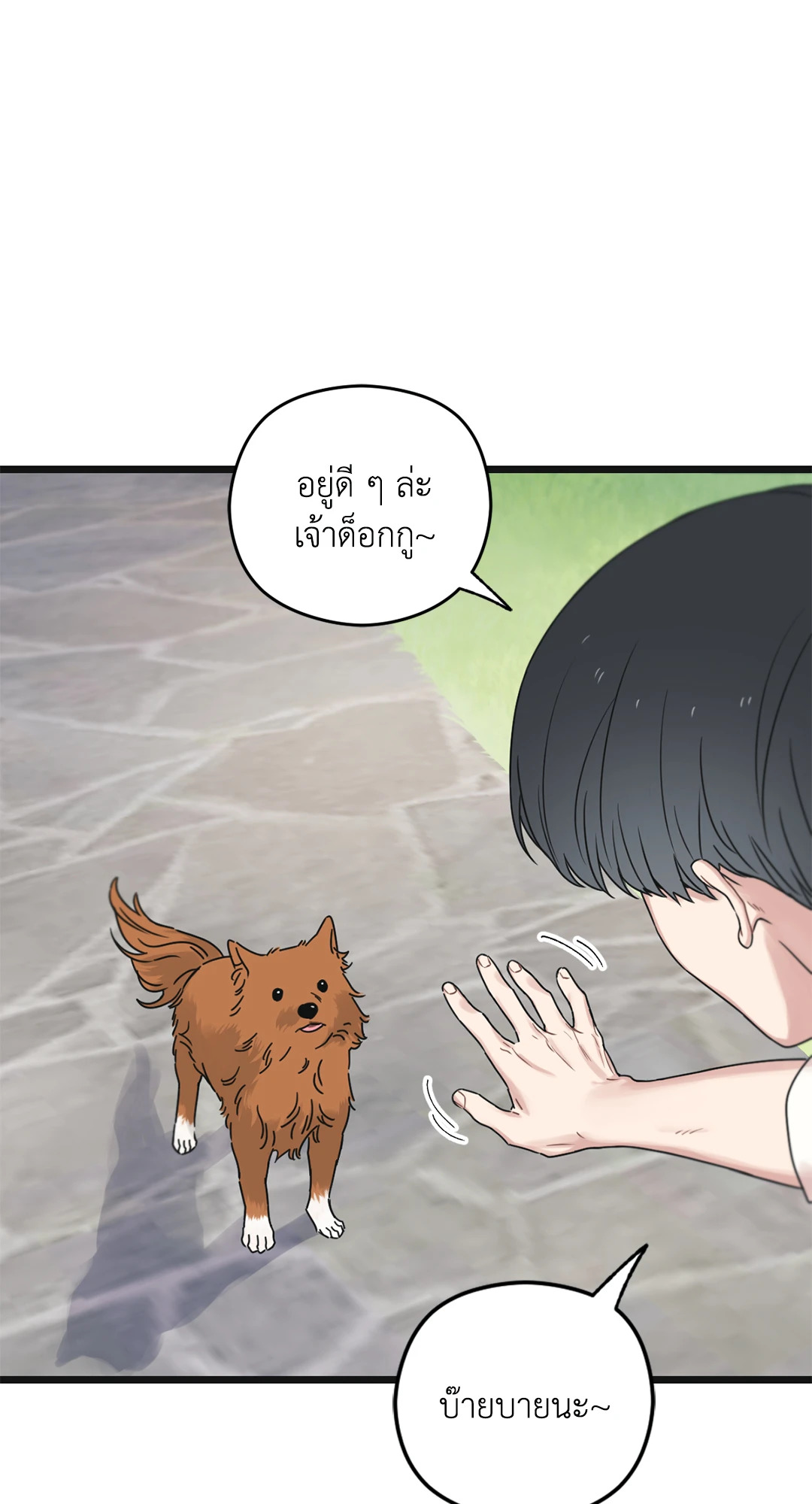 หน้า 43