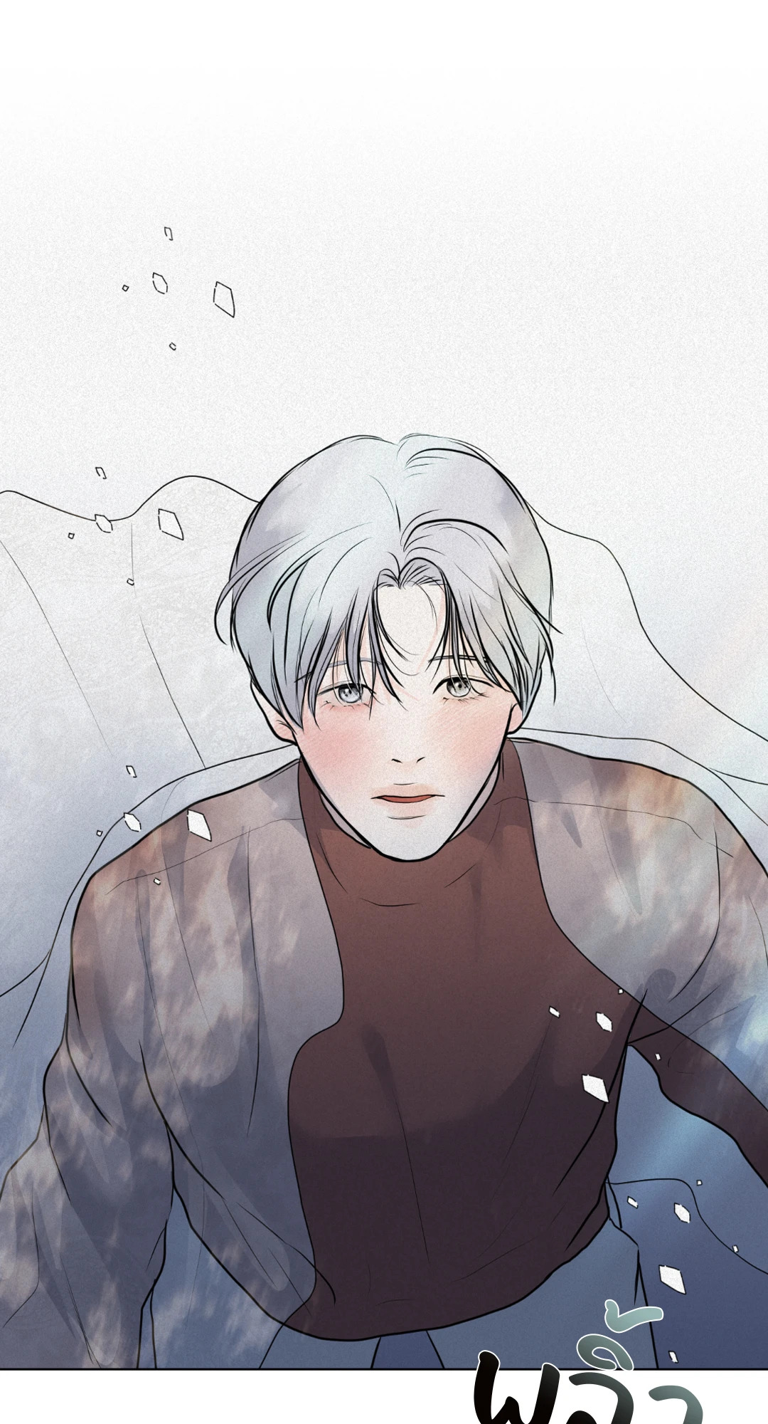 หน้า 48