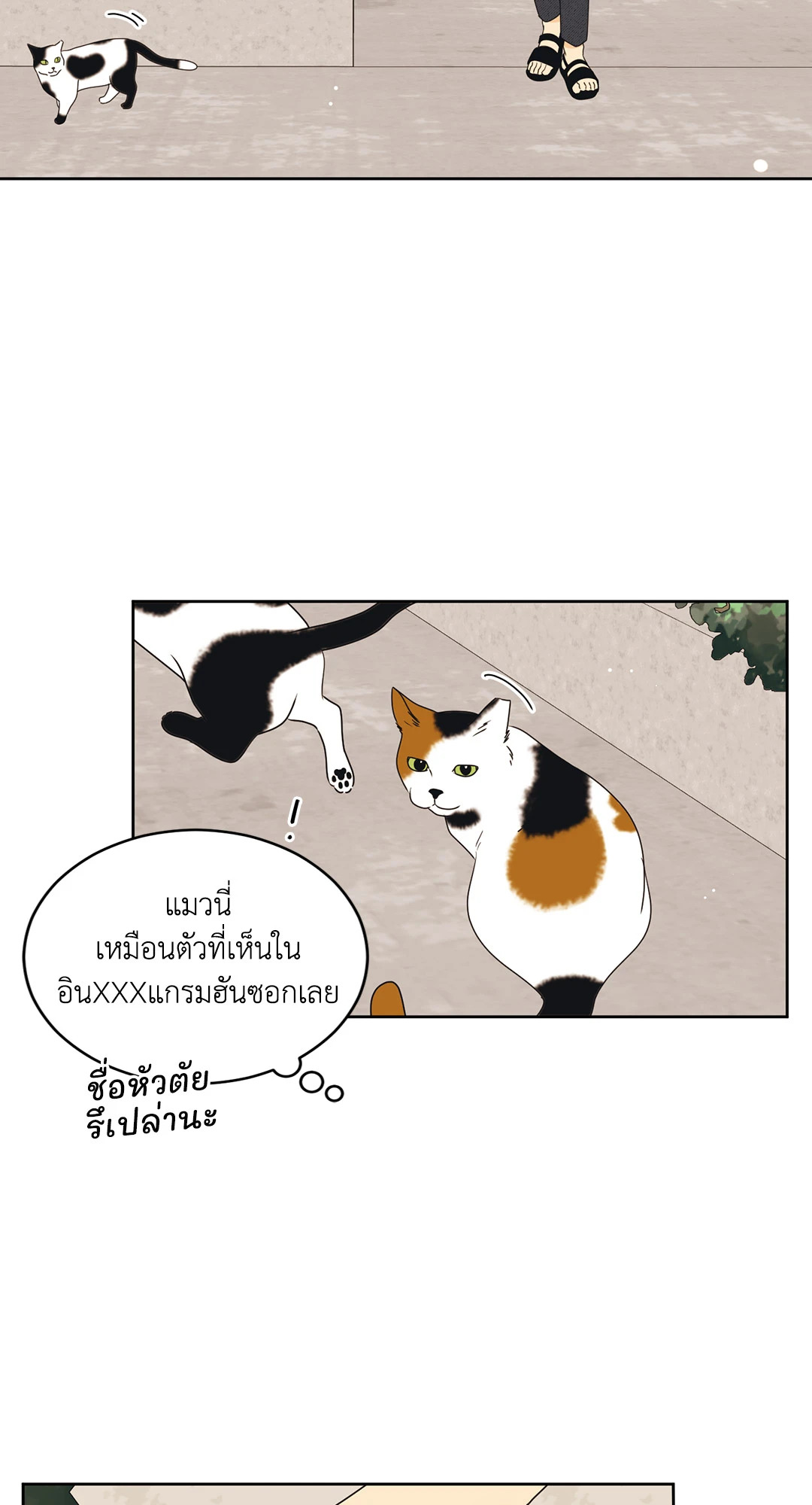 หน้า 37
