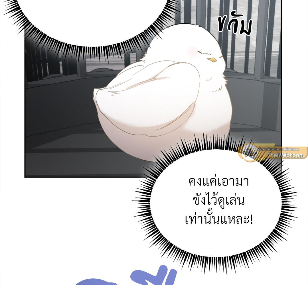 หน้า 95