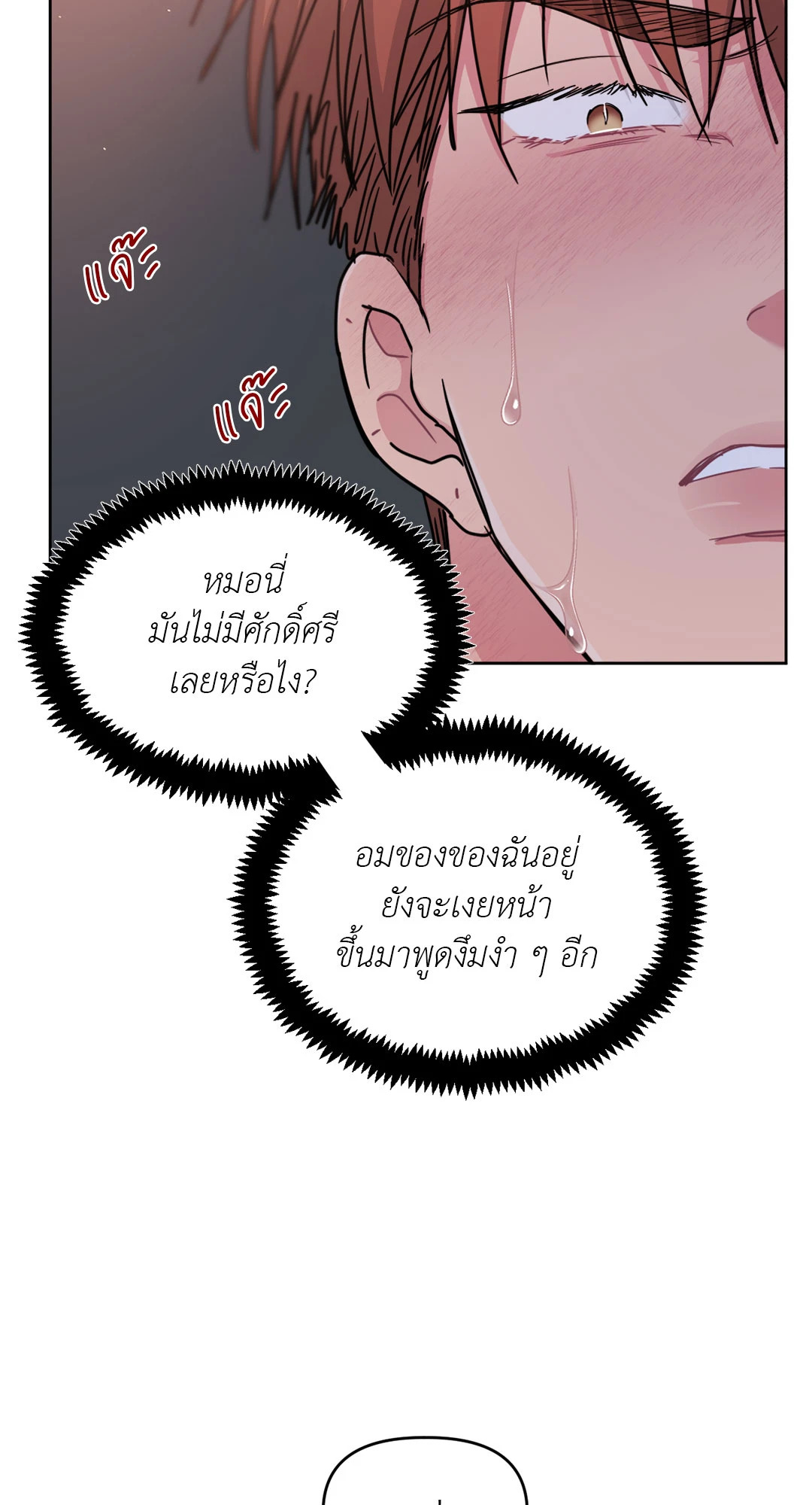หน้า 43