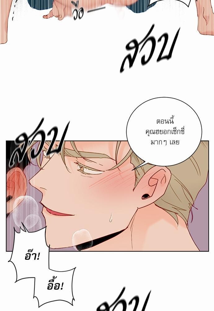 หน้า 41
