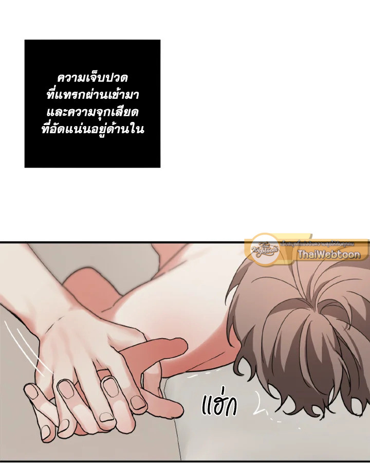 หน้า 41