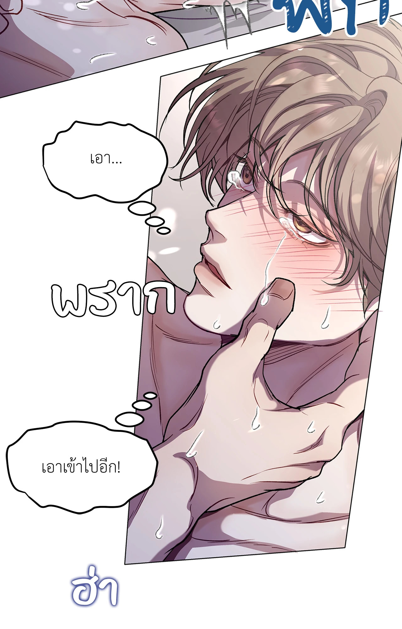 หน้า 43