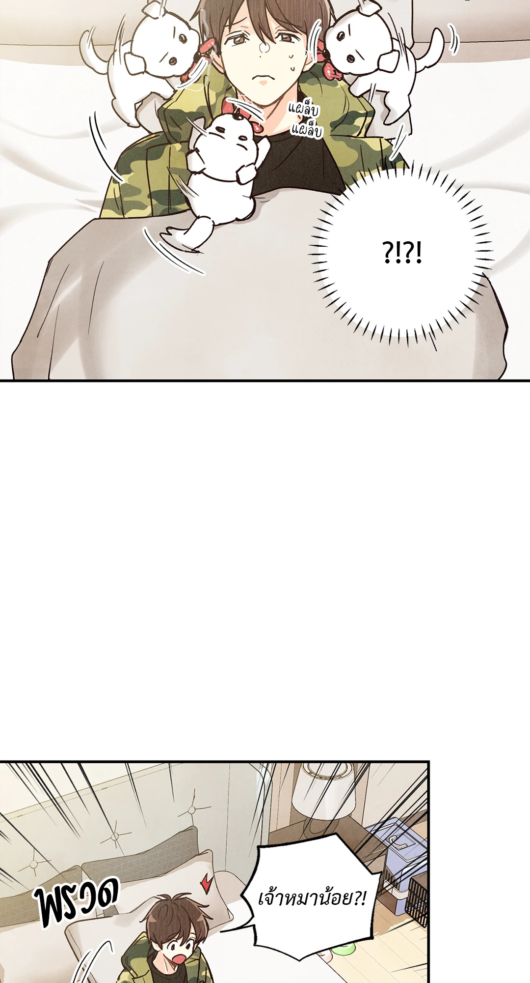 หน้า 46