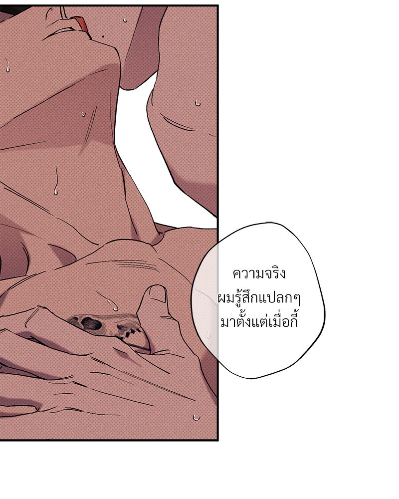 หน้า 97