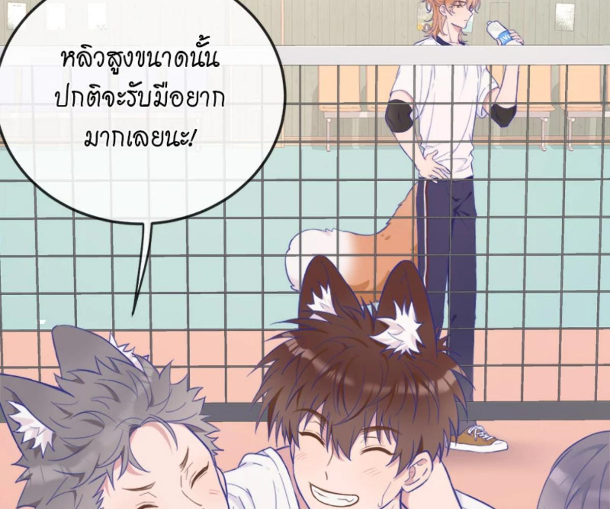 หน้า 51