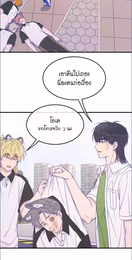 หน้า 43