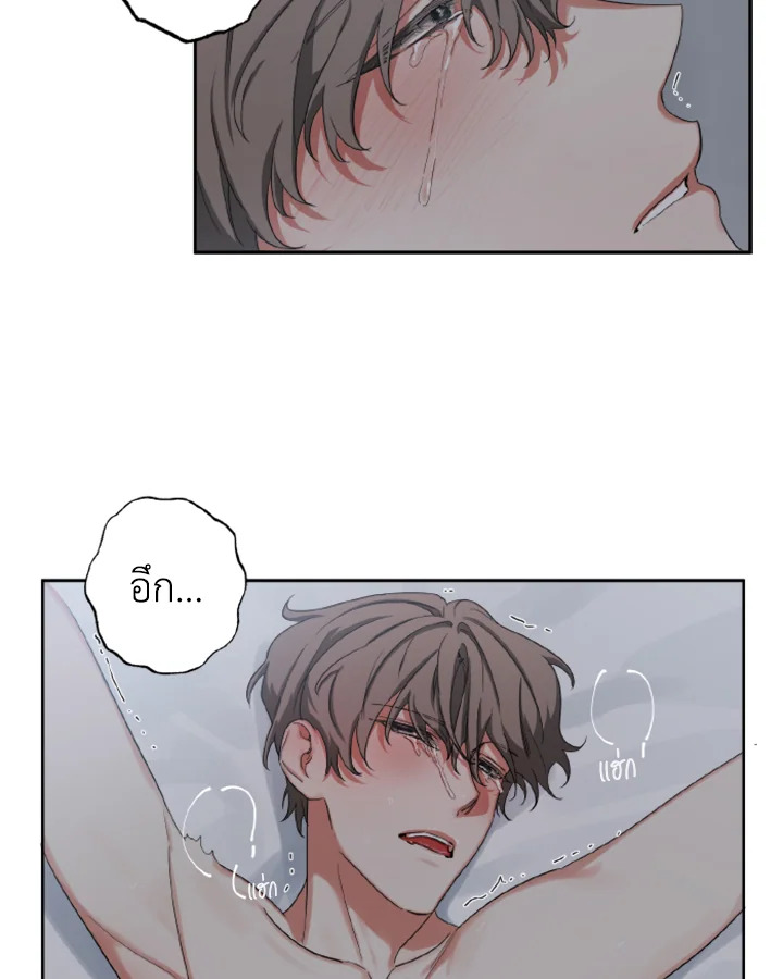 หน้า 41