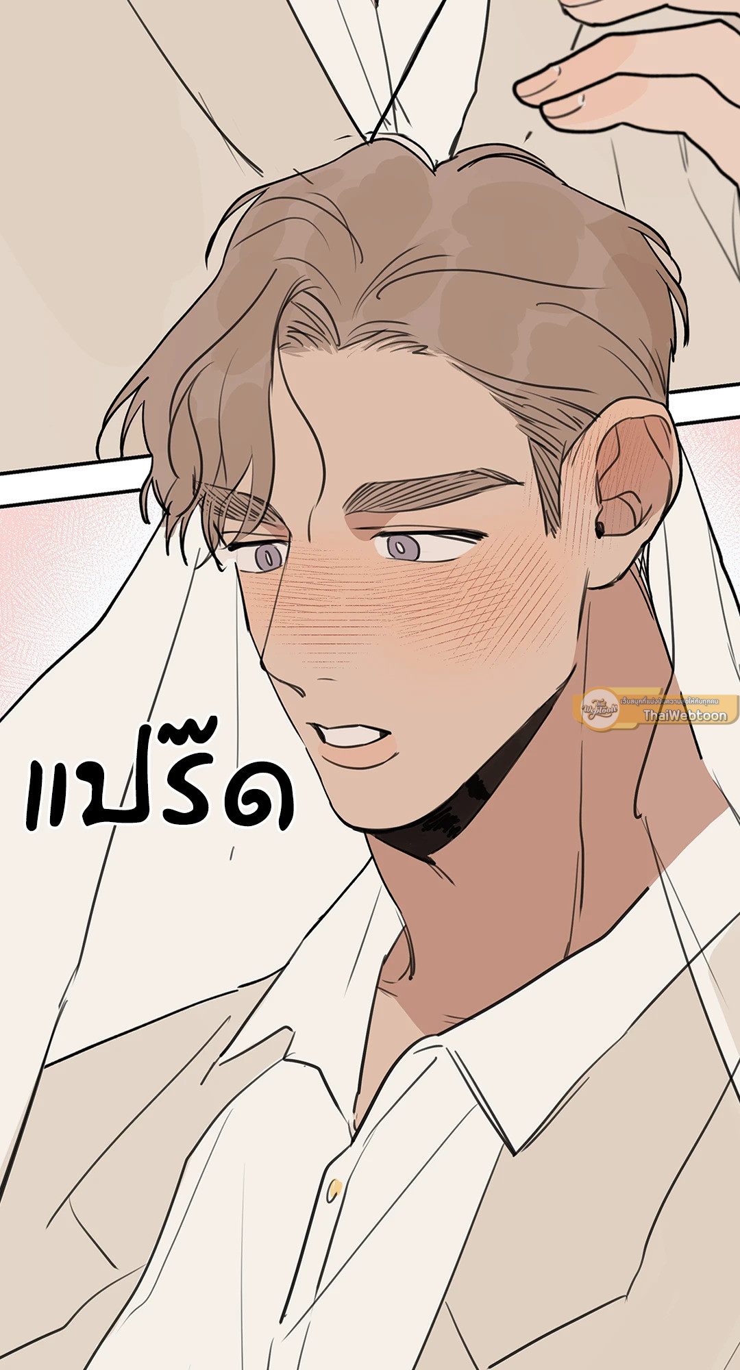 หน้า 33