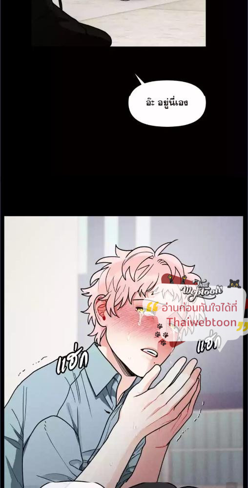 หน้า 31