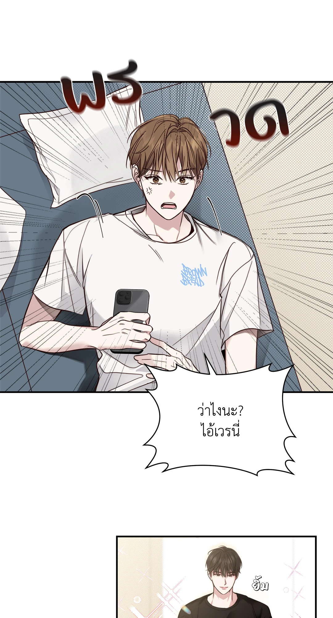 หน้า 43