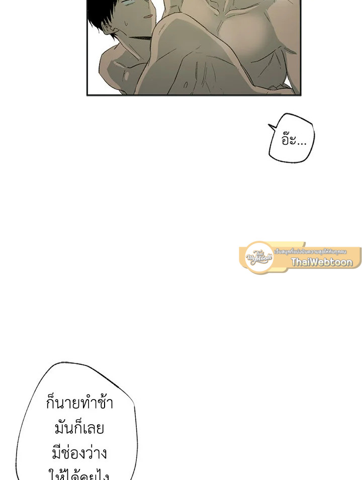 หน้า 61