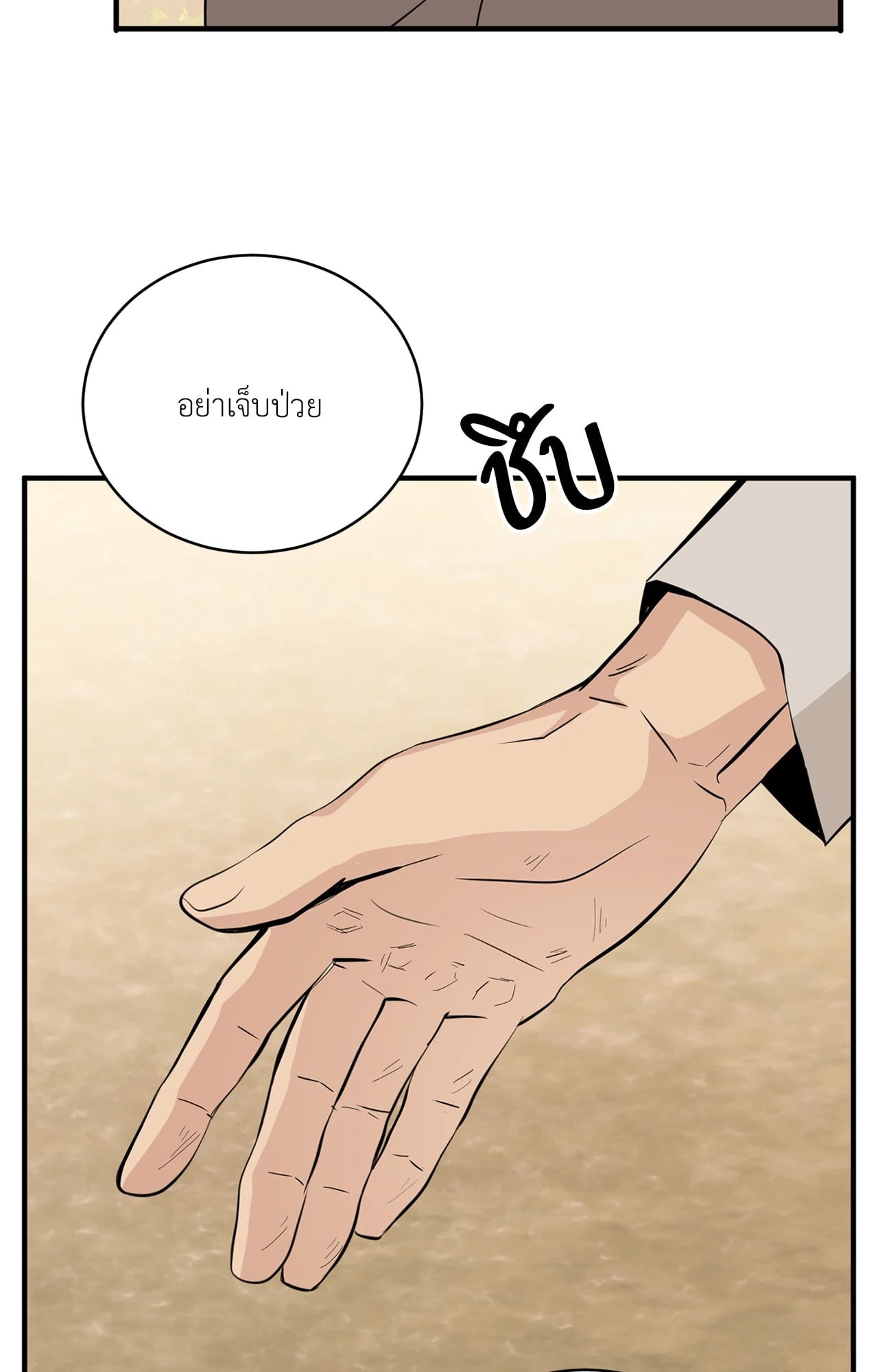 หน้า 102