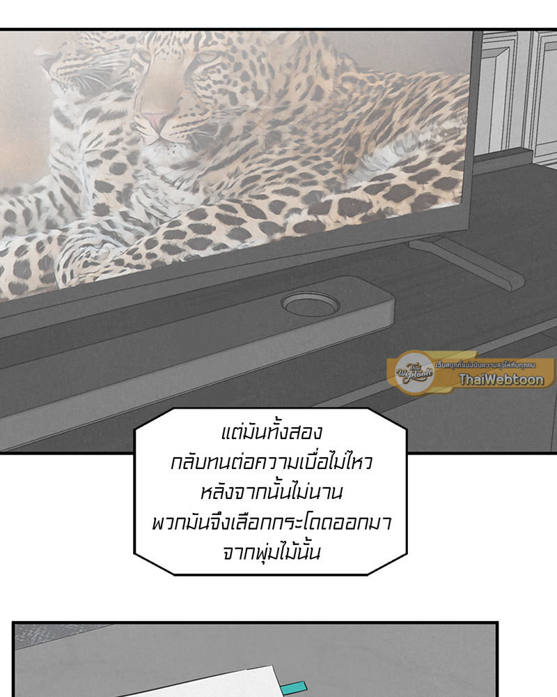 SAFARI GAME ตอนที่ 9.01 - รูปที่ 2