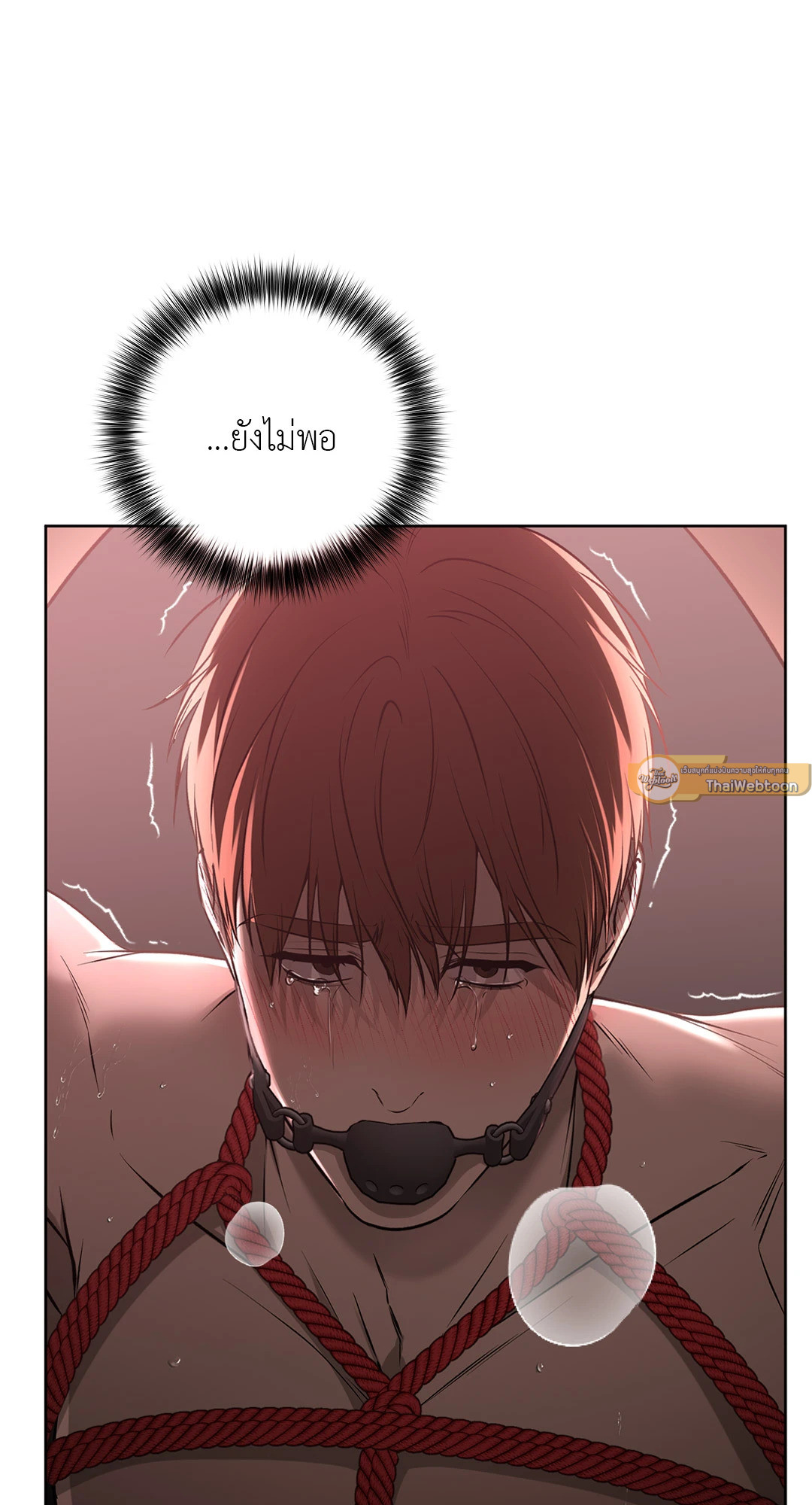หน้า 61