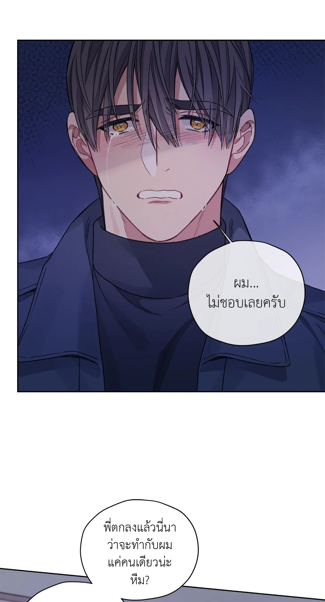 หน้า 31