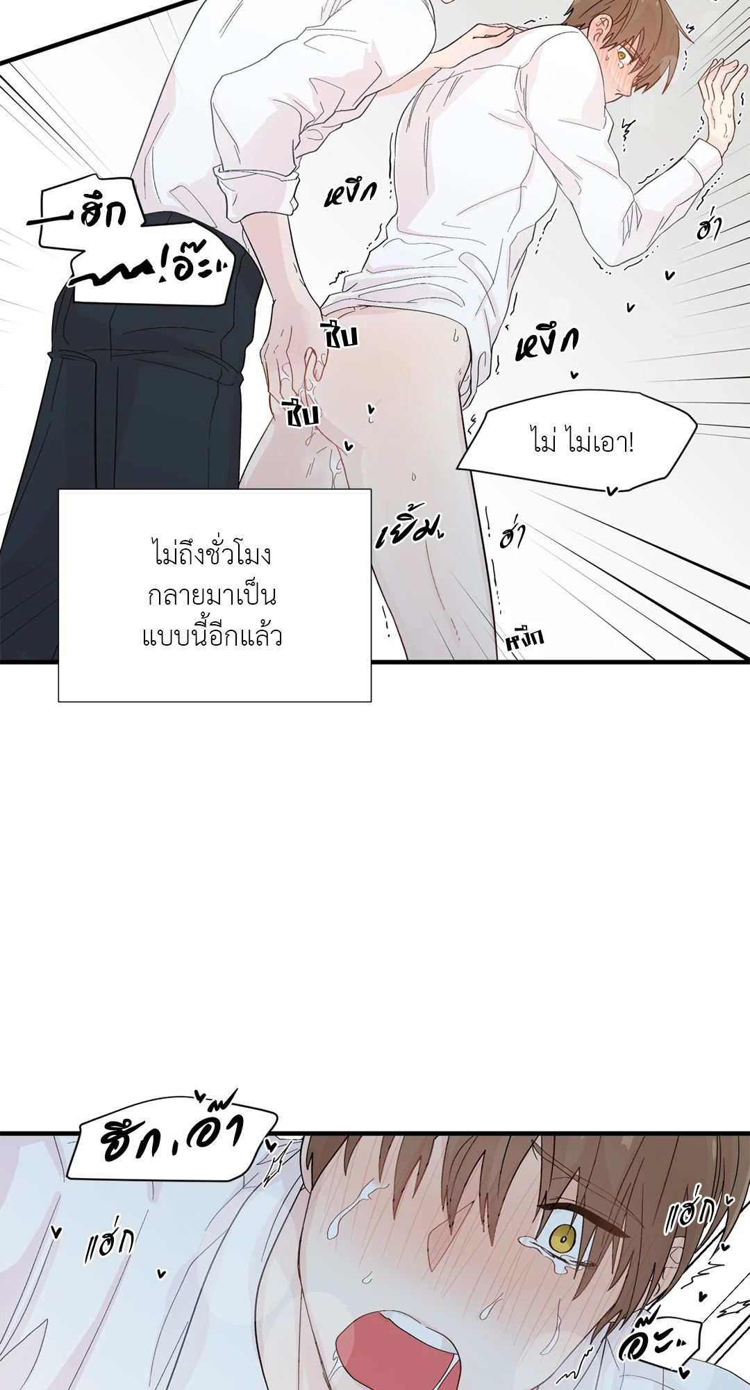 หน้า 43