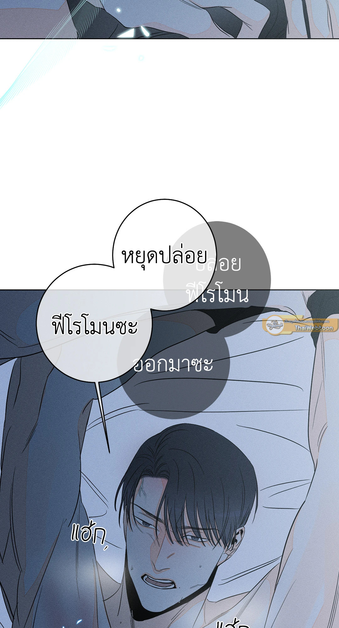 หน้า 40